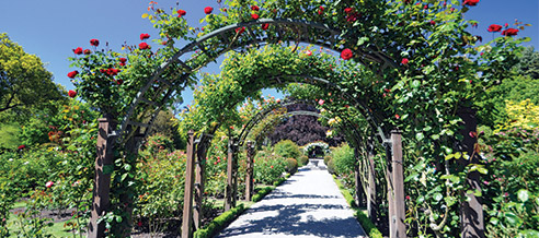 WEBINAR: New Zealand Spring Gardens WEBINAR: New Zealand Spring Gardens