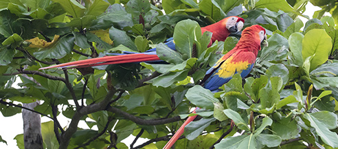 Happy Valentine's Day from Quest Nature Tours! Happy Valentine's Day from Quest Nature Tours!