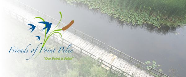 Friends of Point Pelee