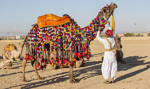 Jaisalmer Desert Festival