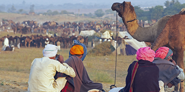 Jaisalmer Desert Festival