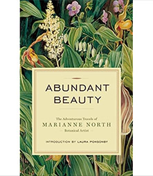 Abundant Beauty book