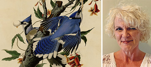Audubon