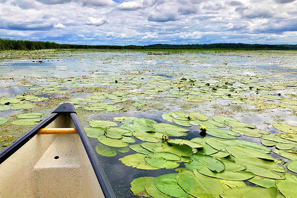 Ontario Nature reserve