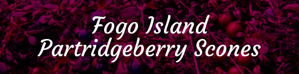 Fogo Island Partridgeberry scones