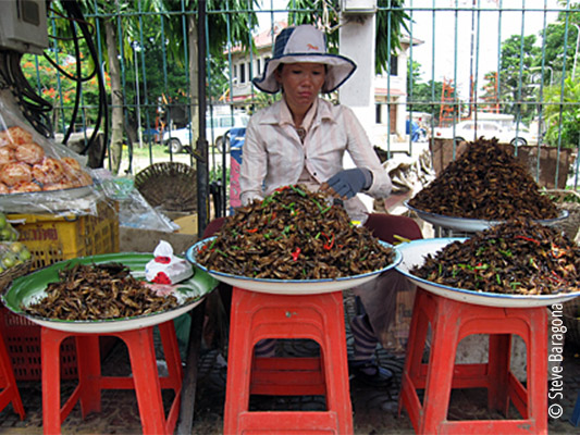 Fried insect vendor in Cambodia photo credit Steve Baragona