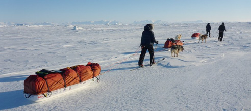 Arctic Return Image courtesy of David Reid