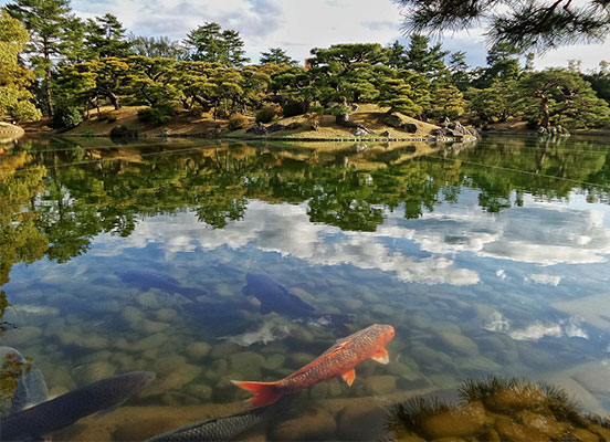 japanese garden