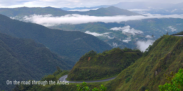 On the road through the Andes