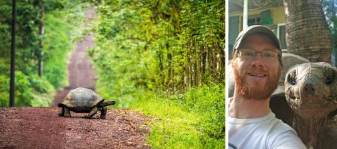 Patrick Moldowan Quest Nature Tours giant tortoise Galapagos