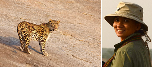 Leopards of India