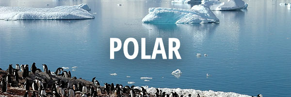 Polar