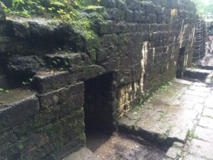 Remains of a trench complex on the Ypres Salient