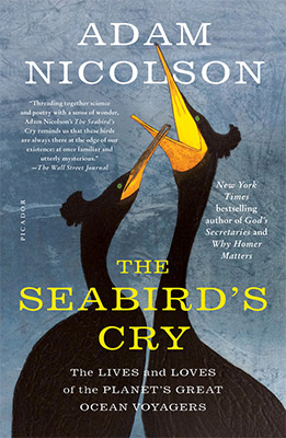 Seabird's Cry