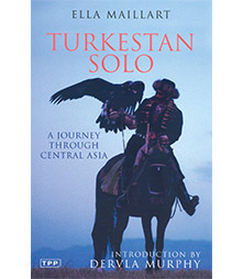 Turkestan Solo book