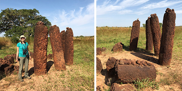 Wassu stone circles