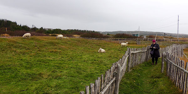 Fogo Island