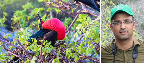 Justin Peter Galapagos Quest Nature Tours