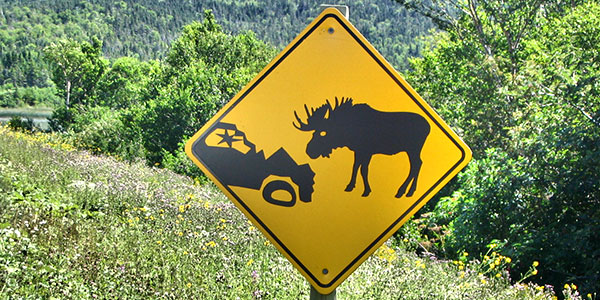 Moose sign Gros Morne National Park Newfoundland