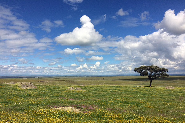 Steppe near Trujillo, Spain