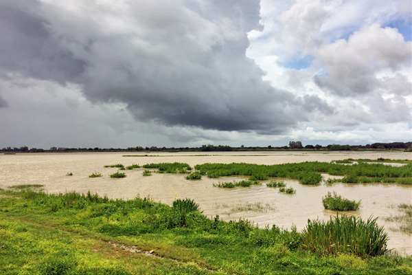 Parque Nacional Doñana