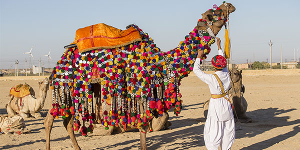 Jaisalmer Desert Festival India