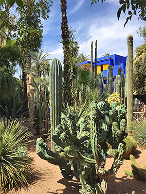 Majorelle