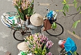 Flower vendors on their bikes