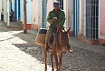 A mule makes a convenient mode of transportation.
