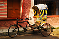 Cycle Rickshaw