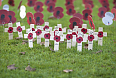 Remembrance Poppies at the Menin Gate