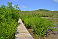 Caravelle Peninsula Nature Reserve in Martinique