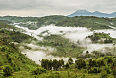 Views of Bwindi Impenetrable National Park