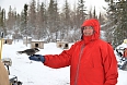 We can feed the Gray Jays after our dogsledding excursion.