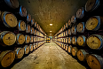 Wine cellars of Herdade do Esporão, Alentejo