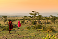 Sunset at Masai Mara