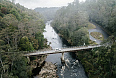 Lush landscapes of the Tarkine