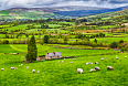 Countryside views in Ireland