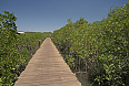 Boardwalk at Mandina Lodges (Photo credit: Justin Peter)