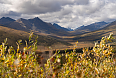 Tombstone Territorial Park, Dawson (Photo credit: Mosaic Earth)