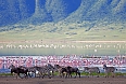 Ngorongoro Crater