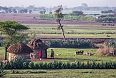 Passing by a farming village