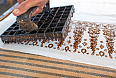 We will learn about hand-stamped Batik technique in a workshop