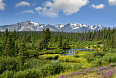 Kluane N.P.