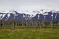 Hrisey Island (Photo by Sherry Kirkvold)
