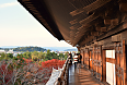 View from Nanzen-ji Temple, Kyoto (Photo credit 雷太)