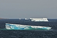 Icebergs calving from Arctic glaciers to the far north make their way down the coast of Labrador. This will be a great time to see them! (photo: Dave Milsom)