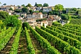 Vineyards of Saint Émilion