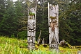 Totem pole ruins
