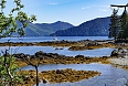 Haida Gwaii views